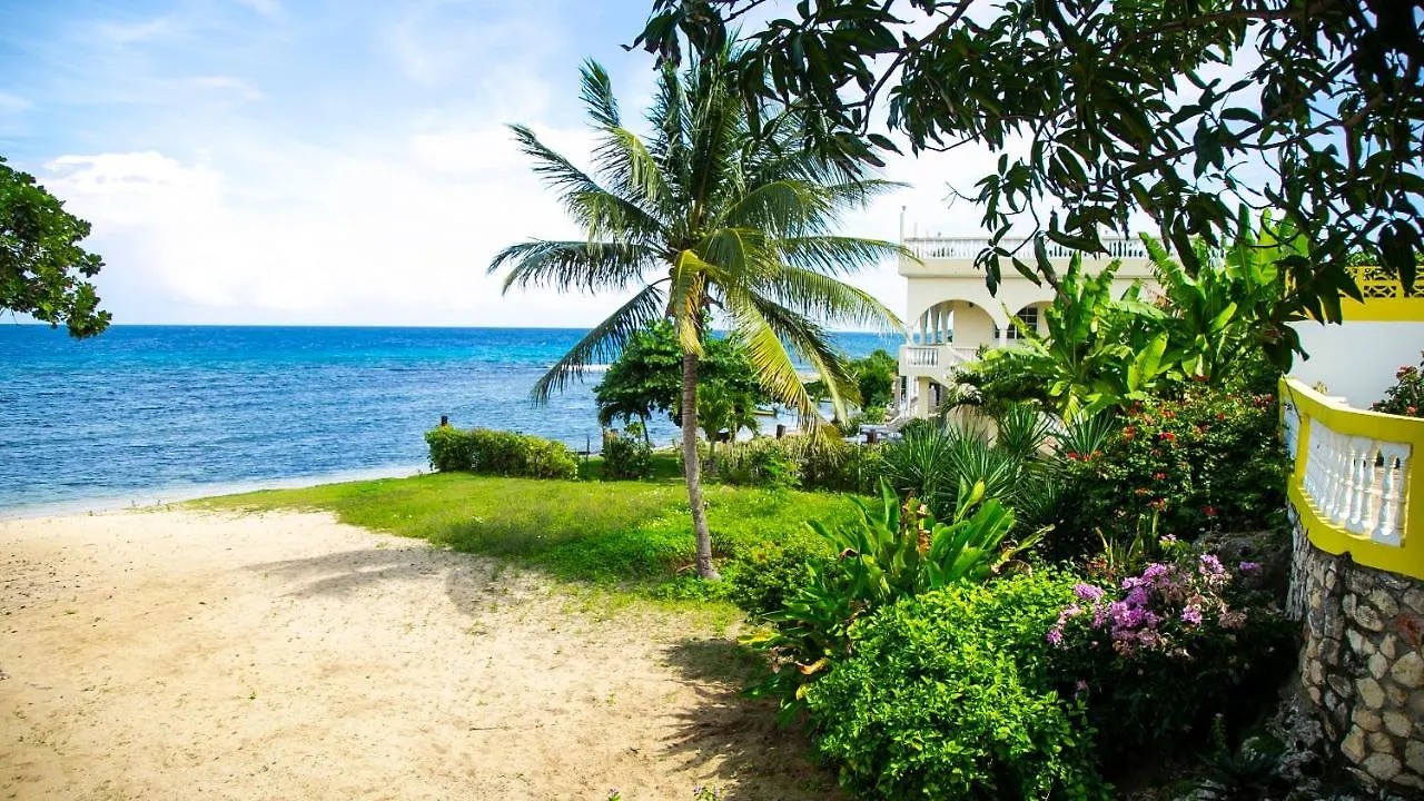 Guest house House Of Erabo Hotel Runaway Bay Jamaica