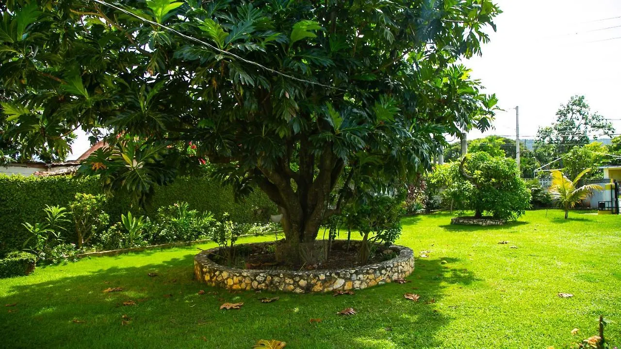 House Of Erabo Hotel Runaway Bay